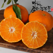 [마캐는젊은농부들]영파머스몰 제주 서귀포 산지직송 레드향 고당도 3kg 5kg 10kg 가정용 선물용 선물세트, 레드향 가정용 5kg.