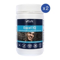 비타핏 엑셀 아이큐 징코빌로바 진생 타우린 포스파티딜세린 90정 VITAFIT EXCEL IQ, 2개