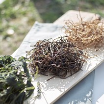 온유네 국산 고사리 지리산 건나물 취나물 곤드레 시래기 토란대 고춧잎 고구마줄기 무말랭이 호박고지 고춧잎 아주까리, 15-1 건고사리50g[무농약인증품]