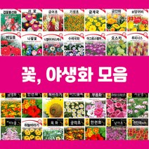 꽃씨 씨앗 제라늄 물망초 연꽃 백일홍 구절초 수레국화 버베나 다알리아 천일홍 핑크메밀 키우기, 5.금화규