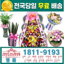 다알리아플라워 첫돌화환배달 돌잔치화환배달 부모님칠순화환 부모님칠순생화화환 부모님팔순화환 부모님팔순생화화환 다알리아꽃다발 플라워다알리아 플라워꽃다발 꽃다발다알리아, 1.축하3단