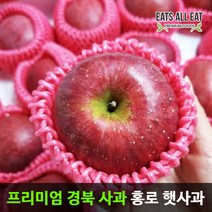 이츠올릿 경북 햇 홍로 부사 꿀 사과 10kg 정품 소과 (44-47과) 껍질째 먹는 청송 안동 문경 장수
