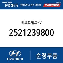 리브드 벨트-V (2521239800) 테라칸