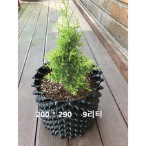 루트플러스 마술화분 매직화분 200-290 9리터 10개
