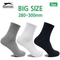 슬레진저 빅사이즈 남성스포츠 캐주얼양말 단목 5켤레 SL0902, 화이트 5켤레