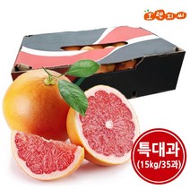오렌지씨 남아공 레드자몽 35과(14.5kg) 특대과 1박스, 단품없음