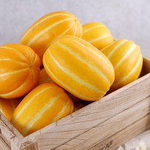 다농이네 달콤한 성주 참외 5kg 10-15과 (대과)