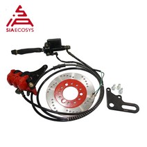 QS 유압 브레이크 전기 스쿠터 디스크 세트 오토바이, 02 rear brake 220mm