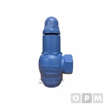 릴리프밸브-10KG, 본상품, 1개