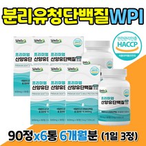 부모님 WPI 보충제 분리 유청 근육 단백질 분말 정 멸치탈출 어른 분유 루신 로이신 뮤신 프로틴 프로테인 bcaa 섭취 50대 60대 70대 남자 남성 할머니 할아버지 엄마 아빠 6개월