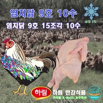 염지 닭 9호 10수 15조각 (주)하림 한강식품