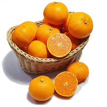 산지직송 제주 천혜향 3kg 5kg 오리농법, 2. 천혜향 5kg 21과 내외