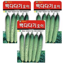 백다다기 오이 씨앗 3개입, 1개