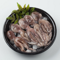 [알배기] 활 급냉 통통 쭈꾸미 1kg 8~10마리