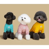 강아지 티셔츠 맨투맨 일상복 데일리룩 애견 의류 옷