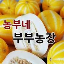 농부네 부부농장 성주참외 2kg 5kg 10kg 산지직송, 17.참외 10kg 정품재수용대과(18과~27과내외)