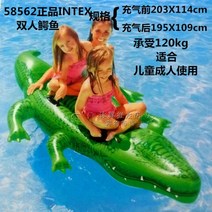 바이킹 홈바운스 놀이터 물놀이 빠지 에어시소 제주도 에어바운스 미끄럼틀, 큰 악어 산 58562
