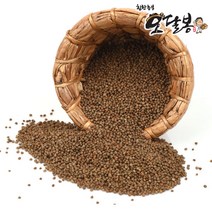 수입 들깨 생들깨 흑들깨, 1개, 500g