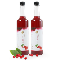 숲이플 새콤한 오미자청 2kg