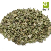 총명식품 백질려열매, 1개, 300g