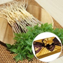 장보리 전남 무안 수경재배 새싹삼 선물세트 특 50뿌리, 기본상품