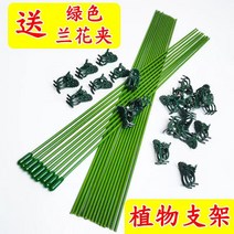 포도나무 종류 이각 식물 고추대 고추말뚝 와이어지주 Y자 과일나무 소나무 규격, 길이 30cm 100개) + 오키드 클립 40개