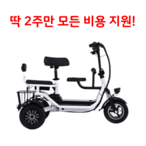 접이식 세발 전기 자전거 삼륜 2인용 노인 펫바이크 배달용 전동 스쿠터 48V, 화이트 10A 3인승