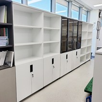 DHF 라인 5단장 사무실 책장 사무실 수납장 장식장, 하문장 (화이트바디), 화이트 (화이트바디)