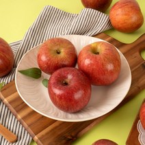 경북 산지직송 당도선별 가정용 부사사과 홍로사과 2kg 3kg 5kg 10kg, <홍로> (가정용) 10kg / 소과 / 44-47과, 1개” class=”wr-img”></a></div>
</p></div>
</p></div>
</p></div>
<div class=