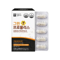 애플트리김약사네 그린프로폴리스 추출분말 플라보노이드 17mg 플라보노이드 아연 건조효모 항산화 호주산 캡슐 영양제 건강기능식품 gmp, 1통, 30캡슐