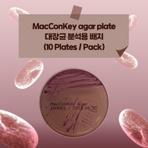 MacConKey agar plate 대장균 분석용 배지 유해미생물 배양 배지 생배지 (10 plates)