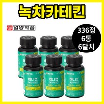 녹차 카테킨 6통 6달치 다이어트 식단표 옆구리살 아랫배 내장지방 허벅지안쪽 종아리알 단기간 기초대사량 2주 단기 간식 뱃살
