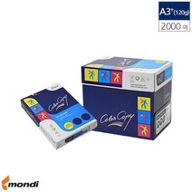 A3 컬러 레이저 프린터 복사지 305x457 120g 2000매