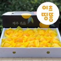 선물용 산지직송 제주도 서귀포 고당도 황금향 1.6kg 3kg 5kg, 황금향(선물용/비닐포장), 1.6kg(소과)