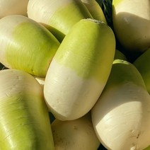 [동치미 사이즈] 제주무 월동무 제주도 무우 세척무, 제주무 10kg(8~11개)