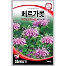 세계 베르가못 벨가못 모나르다 bergamot seed 씨앗 씨 꽃씨 종자, 붉은꽃아마