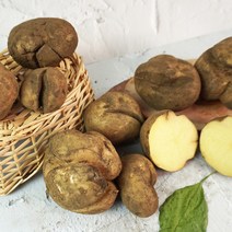 [미식한가] 못생겨도 맛있는 제주 구좌 파지 못난이 감자 (상-대품), 못난이 파지 감자 10kg (상-대품)