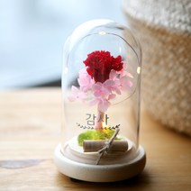 어버이날 카네이션 선물 예쁜 프리저브드 무드등 편지지 엄마 아빠 부모님 할머니 생일 생신 기념일, 유리돔 편지(카네이션수국프리저브드)