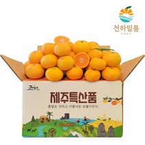 [우체국쇼핑] 천하일품 제주 노지 조생감귤 3kg 소과로얄 (2S-S/M), 상세 설명 참조