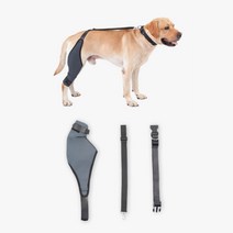 대형견 애견다리보조기 관절보호 뒷다리 XL 보행보조, 검정_XL 오른발