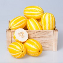 바른식탁 성주참외 가정용 2.5kg 중과, 1