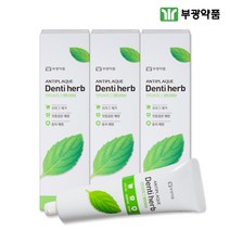 부광약품 안티프라그 덴티허브 치약 130g, 3개