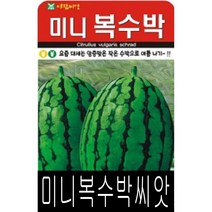 [워터트리몰] 채소 종자 재배 씨앗 미니 복수박씨앗(5립) (A)