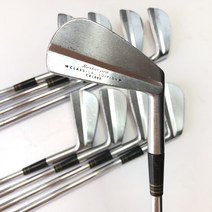 브릿지스톤 브리지스톤 Rextar Pro 2-P 아이언세트(9i) 다골 R400 //2022051006573, 단일 제품, 선택완료