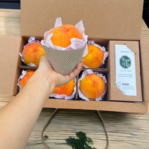 [당도선별] 고당도 황도 복숭아 로얄과, 최고급 황도 복숭아 3kg(대과)9과내외, 1개