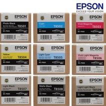 엡손 정품잉크 9색잉크 SC-P800 T850 100 200 300 400 500 600 700 800 900, T850700 Light Black