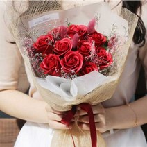 비누꽃 레드장미 꽃다발, 서울퀵배송 (＋5천원), 드라이플라워 카드(＋5천원)