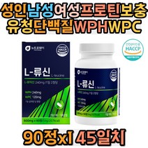 성인 남성 여성 프로틴 보충 유청단백질 WPH WPC 아미노액티브BCAA 로이신 발린 이소로이신 비타민C E A B군 엽산 아연 직장인 회사원 남자 여자