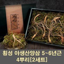 경성건강원 산양삼 산양산삼 자연산양삼 야생산양산삼 장뇌삼 5년근 6년근 4뿌리 산삼 뿌리 먹는법 효능 천연 사포닌 무농약 선물 명절 부모님, 2세트