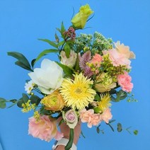 S꽃정기구매 꽃 정기구독 생화 꽃다발 꽃랜덤박스 화훼농가직거래 꽃경매 꽃배달